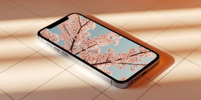 Using Gridlines to Improve Mobile Photography Composition
