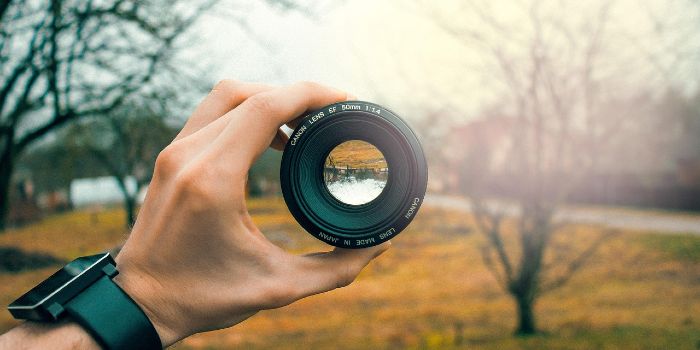 Using Gridlines to Improve Mobile Photography Composition
